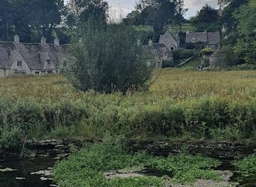 united-kingdom/oxfordshire/attraction/crocodiles-of-the-world