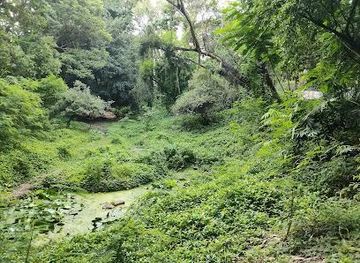 india/pune/attraction/osho-teerth-park