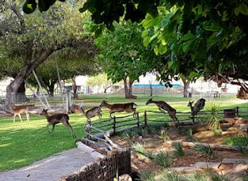 south-africa/wild-coast/attraction/steenbokkie-private-nature-reserve