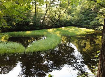 japan/sado/attraction/otowaike-pond