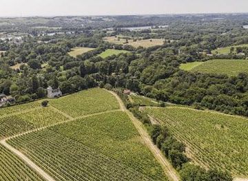 france/angers/attraction/domaine-fl