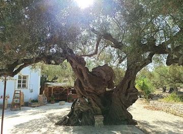 greece/zakynthos/attraction/lekkas-farm-manufacture-of-local-delicacies-straight-from-zante