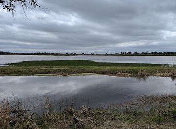 south-carolina/lowcountry/attraction/tom-yawkey-wildlife-center