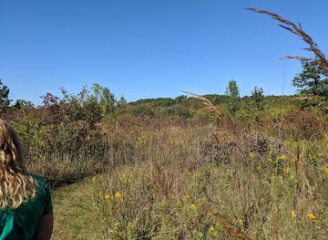 indiana/northeast-indiana/attraction/fogwell-forest-acres-land-trust