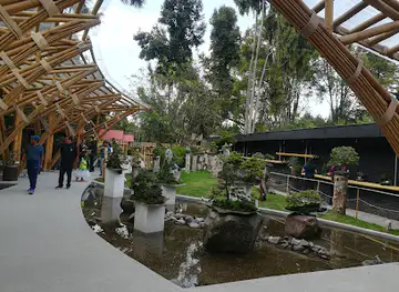 Japanese Garden