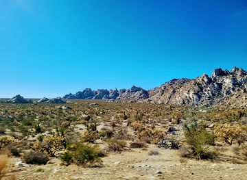 california/colorado-desert/attraction/mojave-national-preserve