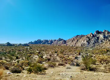 Mojave National Preserve