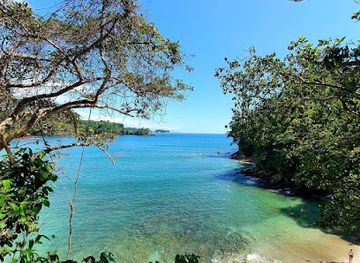 costa-rica/manuel-antonio-national-park/attraction/playa-playitas-manuel-antonio-playitas-beach