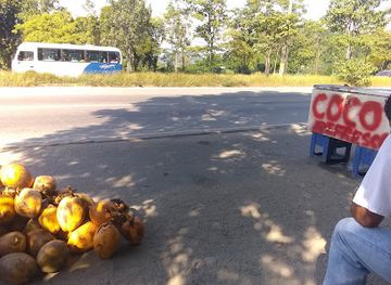 honduras/cusuco-national-park/attraction/pepe-el-de-los-cocos