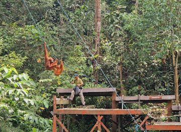 malaysia/borneo/attraction/semenggoh-park-entrance