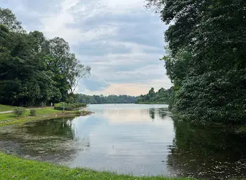 MacRitchie Prunus Trail