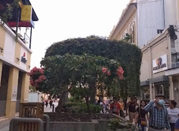 el-salvador/san-salvador/attraction/lineal-park