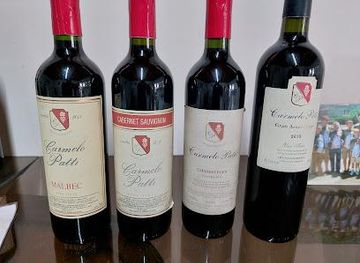 argentina/mendoza/attraction/carmelo-patti