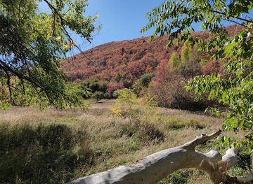 utah/uinta-mountains/attraction/mantua-poppy-field