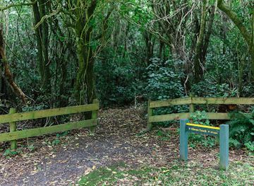 new-zealand/kaikoura/attraction/hinau-track