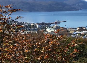 argentina/tierra-del-fuego-national-park/attraction/glaciar-martial