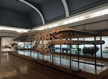 poland/wroclaw/attraction/museum-of-natural-history