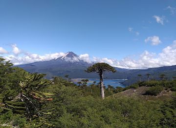 chile/araucania-region/attraction/sendero-sierra-nevada