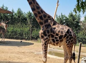 turkiye/istanbul/attraction/faruk-yalcin-hayvanat-bahcesi-ve-botanik-parki