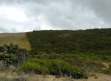 australia/western-district/attraction/discovery-bay-marine-national-park