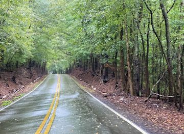 alabama/shoals/attraction/forks-of-cypress