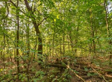 poland/podlachia/attraction/sciezka-edukacyjna-gora-skobla