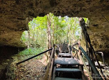 mexico/riviera-maya/attraction/mayamarfantasticjungle