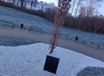 poland/lublin/czuby/attraction/dab-sw-jana-pawla-ii