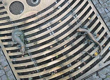 czechia/moravia/attraction/frog-fountain