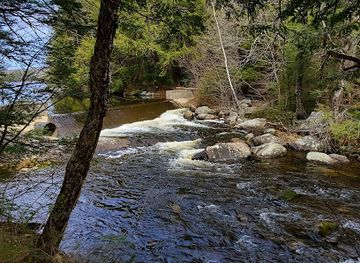 vermont/molly-falls-state-park/attraction/ricker-pond-state-park