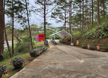 vietnam/da-lat/attraction/dalat-amusement-park