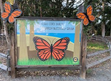 california/pismo-beach/attraction/monarch-butterfly-grove