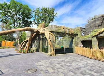 california/fresno/attraction/kingdoms-of-asia