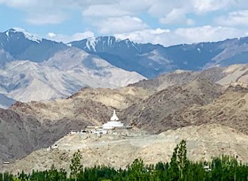india/ladakh/attraction/leh-city-glacier-photography-point-south-pullu