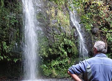 new-zealand/canterbury/attraction/newton-s-waterfall