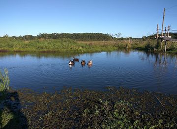 uruguay/valizas/attraction/el-paraiso