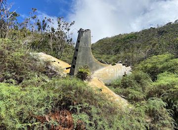 new-caledonia/grande-terre/attraction/mont-mou-sbd-dauntless-plane-wreck