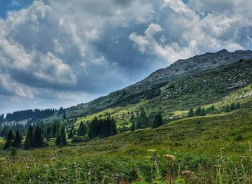 bulgaria/vitosha-mountain/attraction/park-vitosha