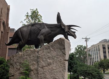 connecticut/new-haven-harbor/attraction/yale-peabody-museum