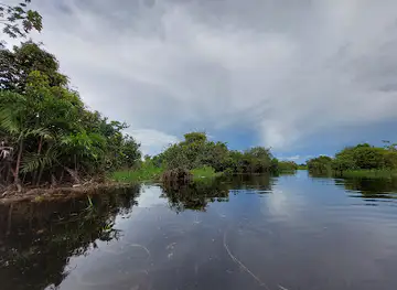 Pilpintuwasi