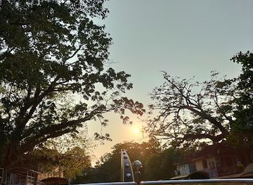 india/alleppey/attraction/alappuzha-shikara-small-snake-boat-houseboat-booking-spot-alappey