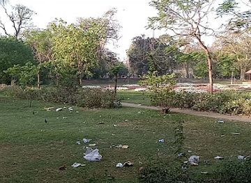 pakistan/lahore/attraction/the-molsari-tree