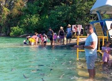 australia/darwin/attraction/aquascene-fish-feeding-sanctuary-and-cafe