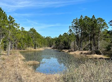 alabama/alabama-coastal-birding-trail/attraction/jeff-friend-trail