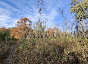 wisconsin/northern-highland/attraction/highland-woods