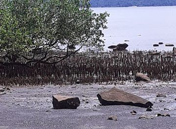 mayotte/plage-de-n-gouja/attraction/gite-de-hagnoundrou-boueni