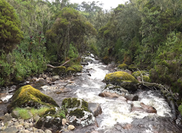 uganda/queen-elizabeth-national-park/attraction/rwenzori-mountains-national-park