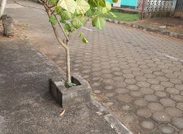 nicaragua/masaya-volcano/attraction/puente-ines