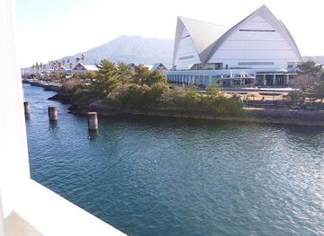 japan/satsuma/attraction/kagoshima-city-aquarium