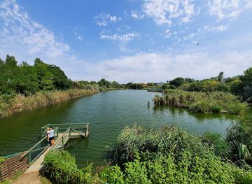 romania/constanta/attraction/the-microreservation-in-constanta